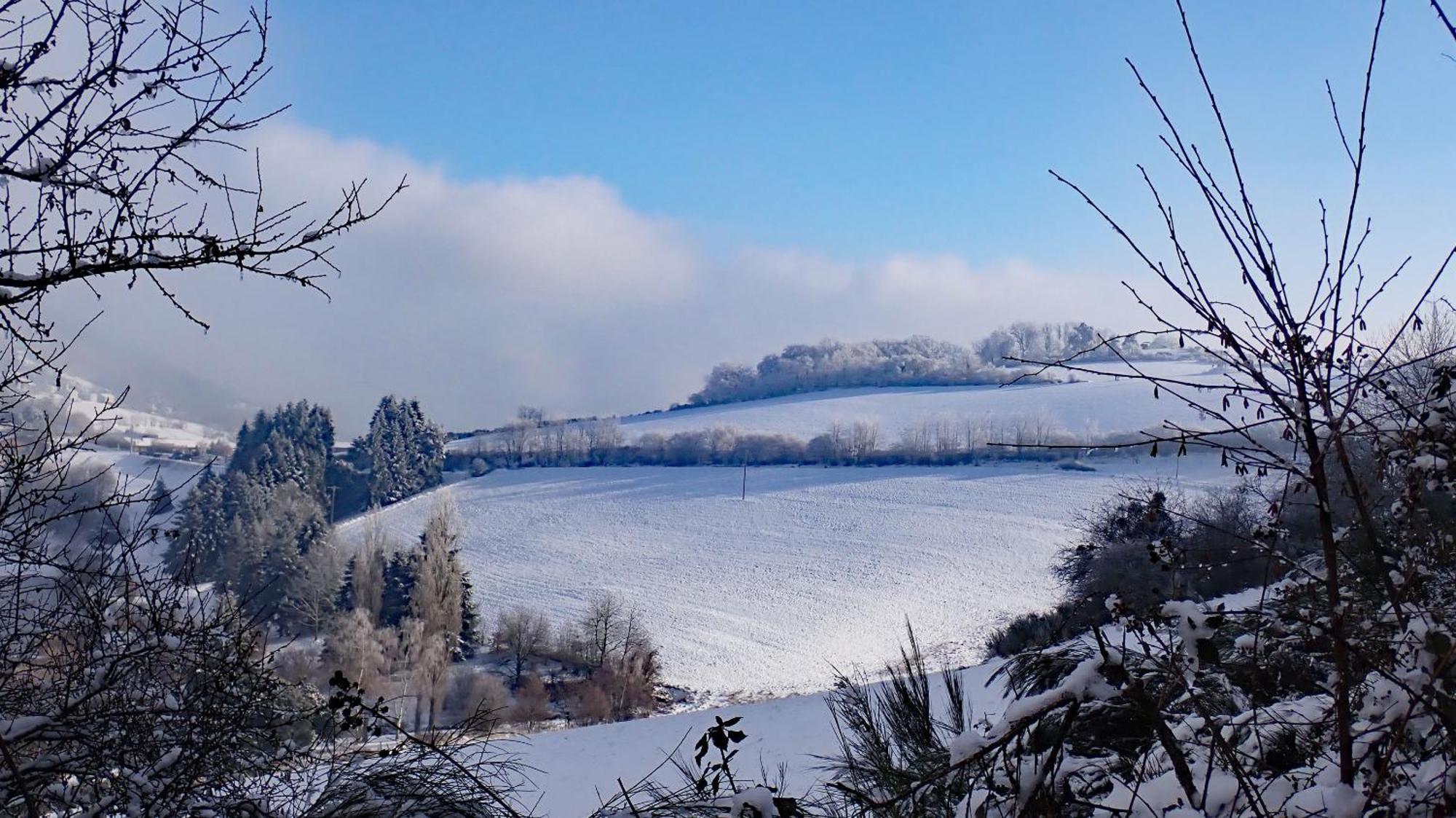 Gites Des Esselards Yzeron Exterior foto