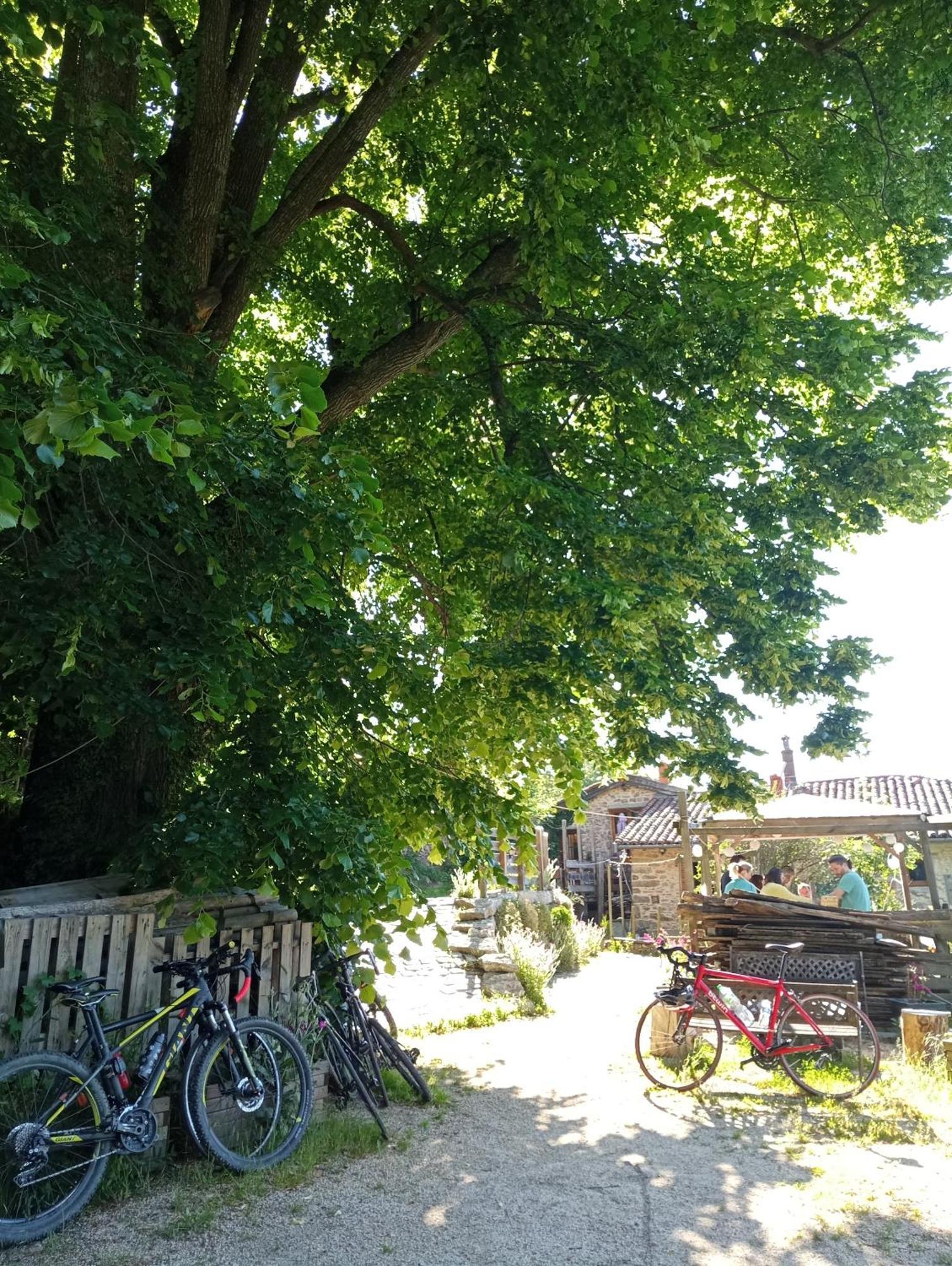 Gites Des Esselards Yzeron Exterior foto